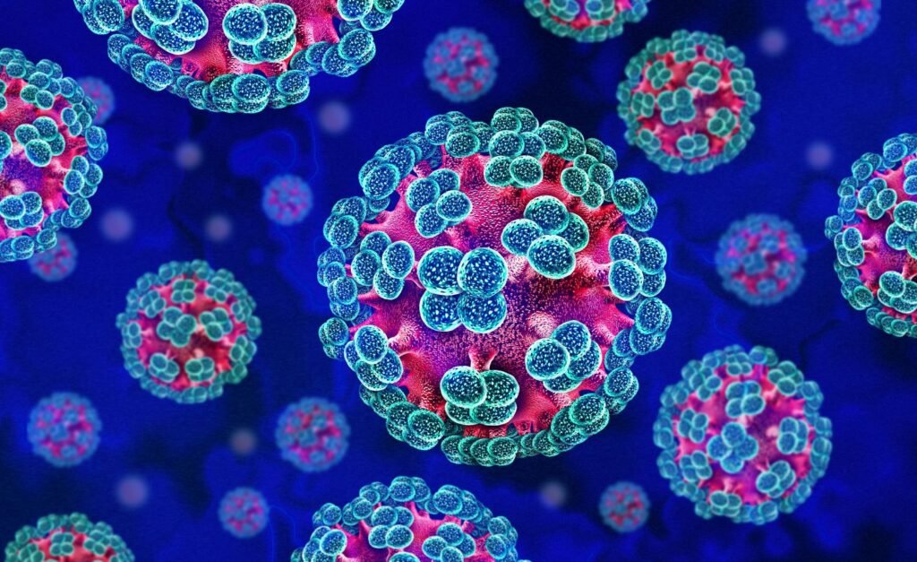 NEW CONFIRMED CASES OF HANTA VIRUS ON CRUISE SHIP... fear rises!! hantavirus blog 1024x627